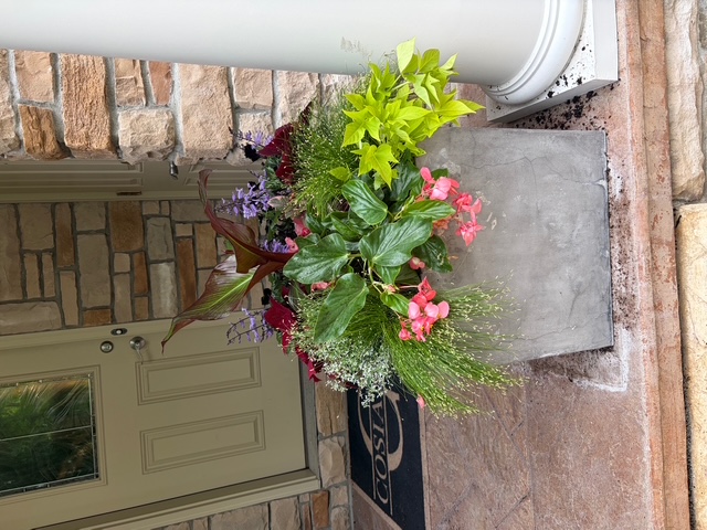 Seasonal planter arrangement