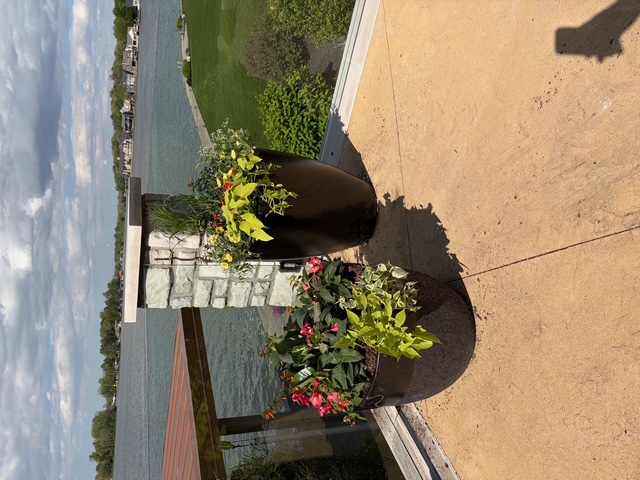 Seasonal planter arrangement