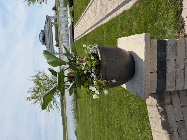 Seasonal planter arrangement