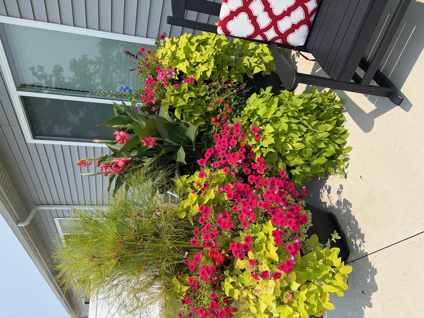 Seasonal planter arrangement