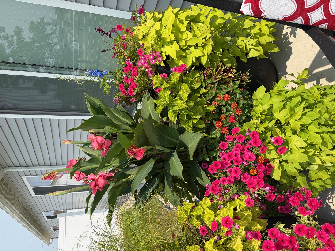 Seasonal planter arrangement