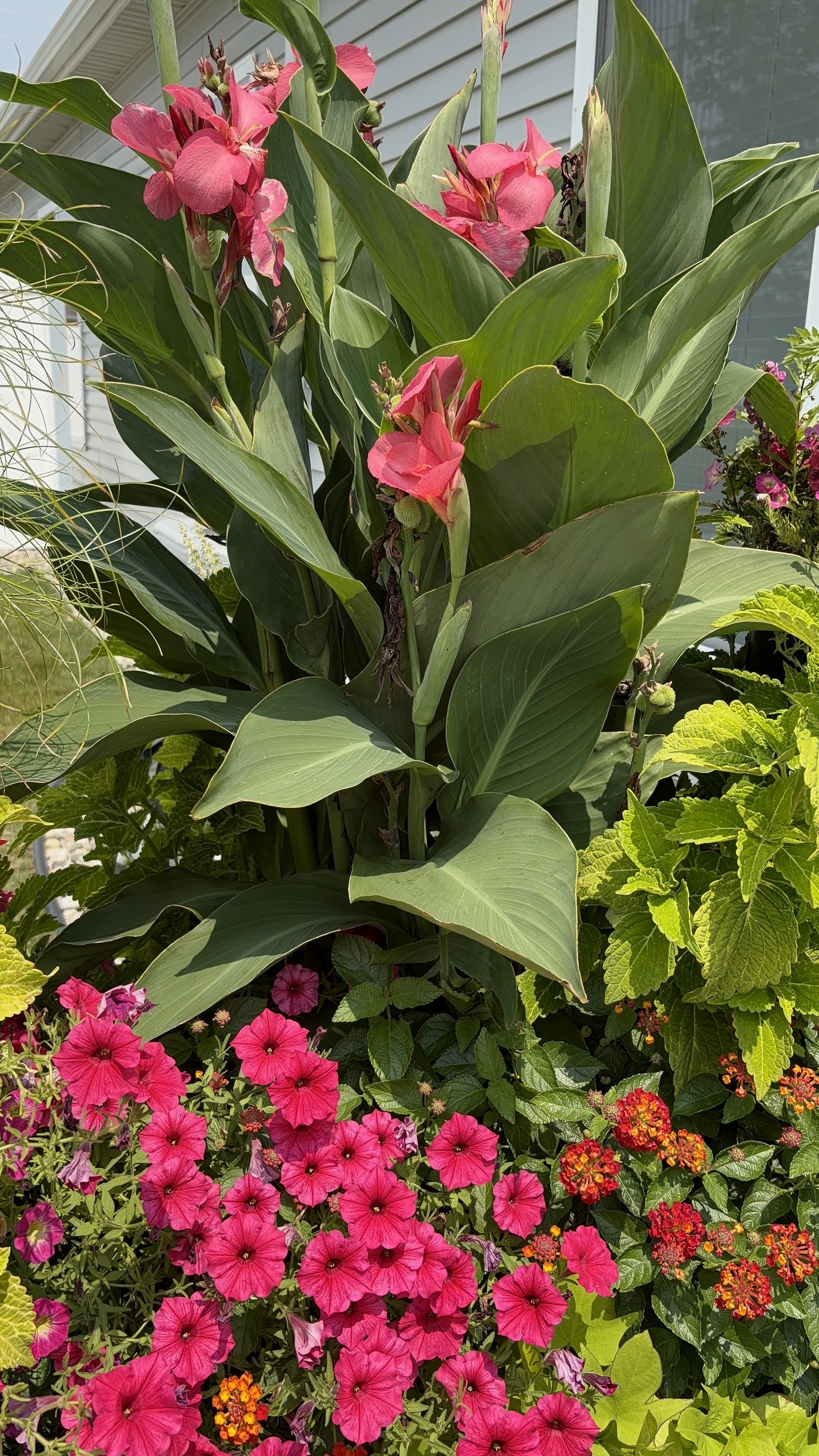 Seasonal planter arrangement