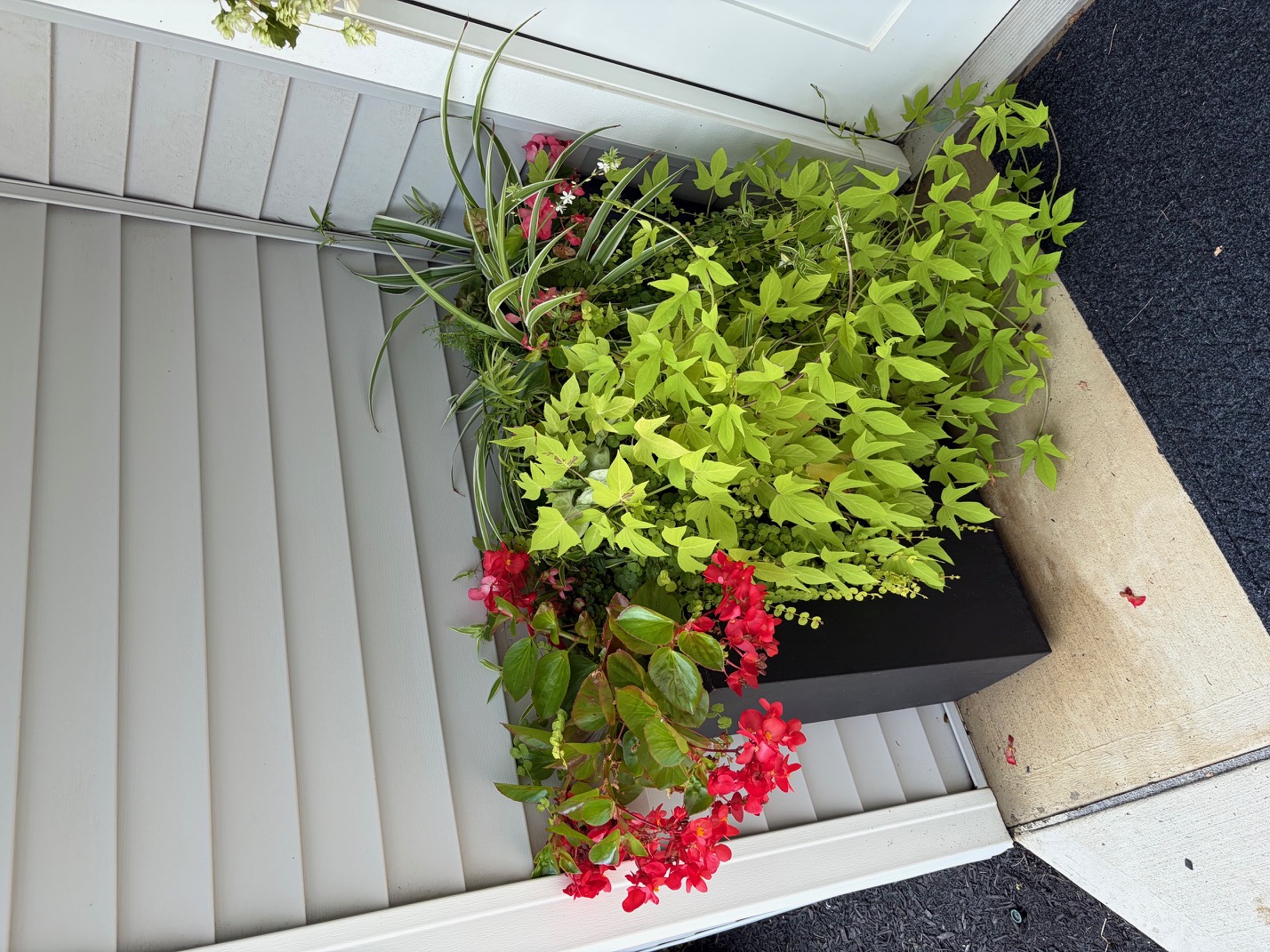 Seasonal planter arrangement